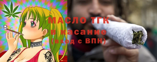 твердый Инта
