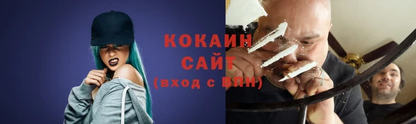 твердый Инта