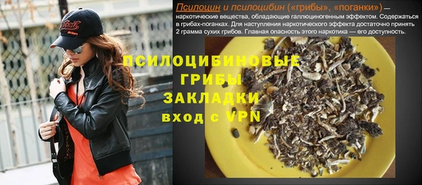 амф Инсар