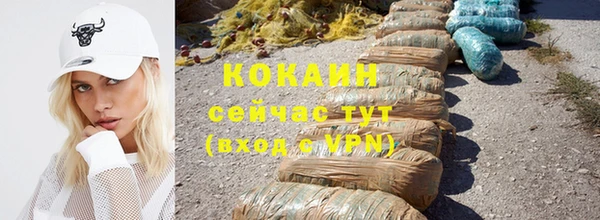 стафф Каменногорск