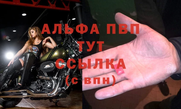 твердый Инта