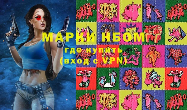 твердый Инта