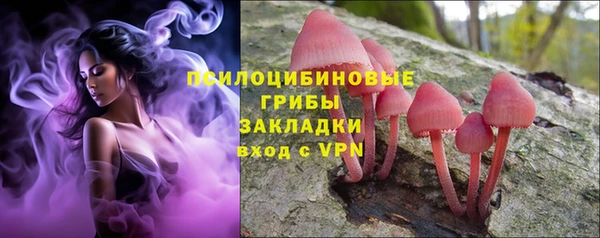 амф Инсар
