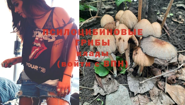 ALPHA PVP Иннополис