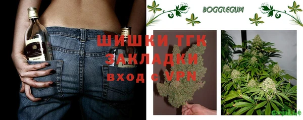 ALPHA PVP Иннополис