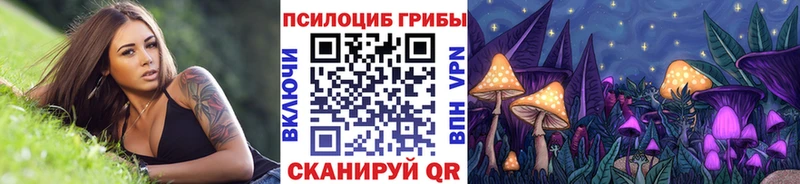 Галлюциногенные грибы ЛСД  Купить где  Городец 